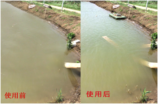 渾濁水、對(duì)蝦吃料差怎么處理？